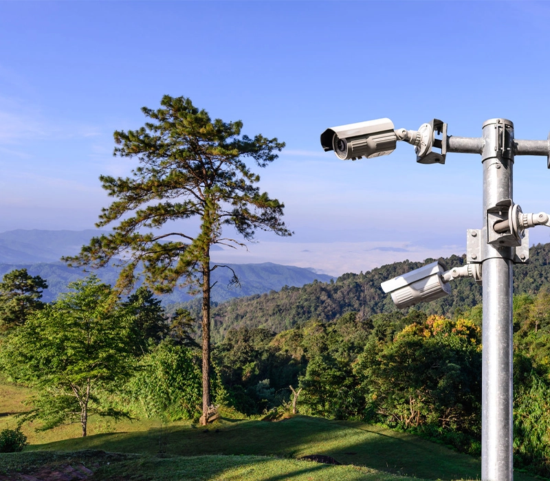 Vigilancia al aire libre